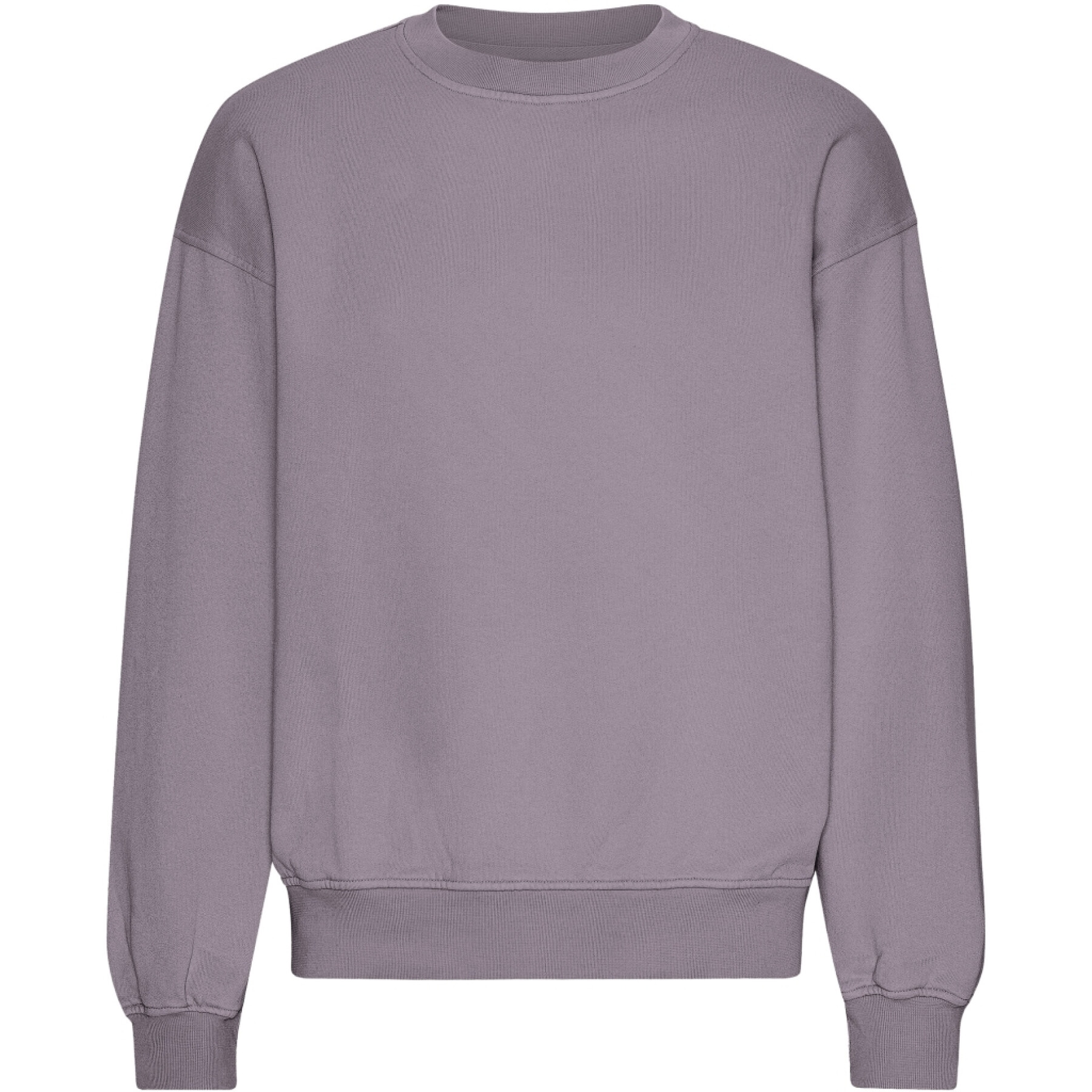 Oversized sweatshirt met ronde hals Colorful Standard Organic Purple Haze