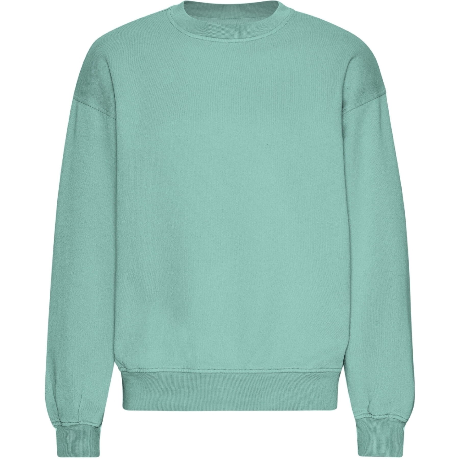 Oversized sweatshirt Colorful Standard Organic