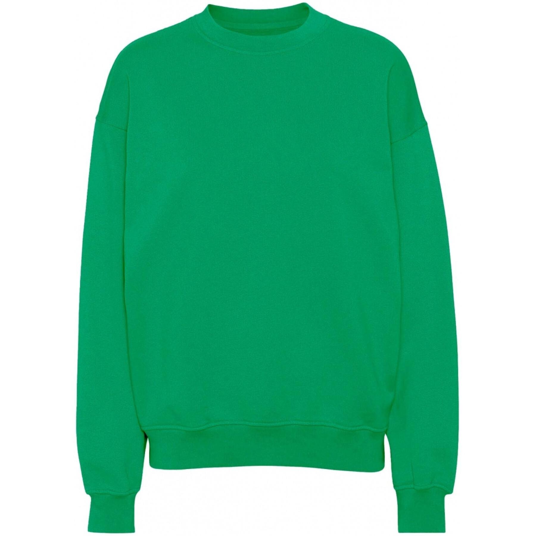 Sweatshirt ronde hals Colorful Standard Organic oversized kelly green