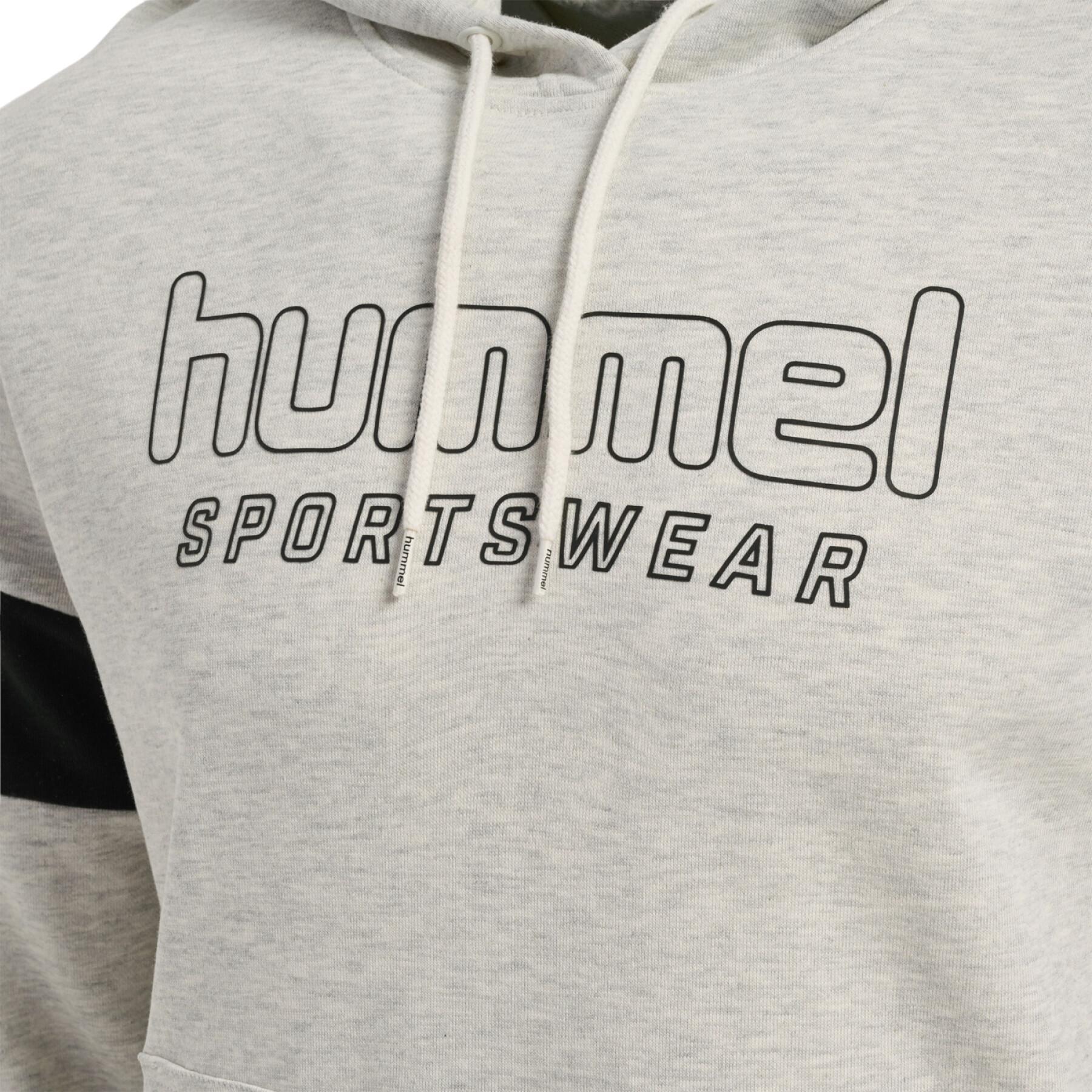 Hooded sweatshirt Hummel lgc Bryce
