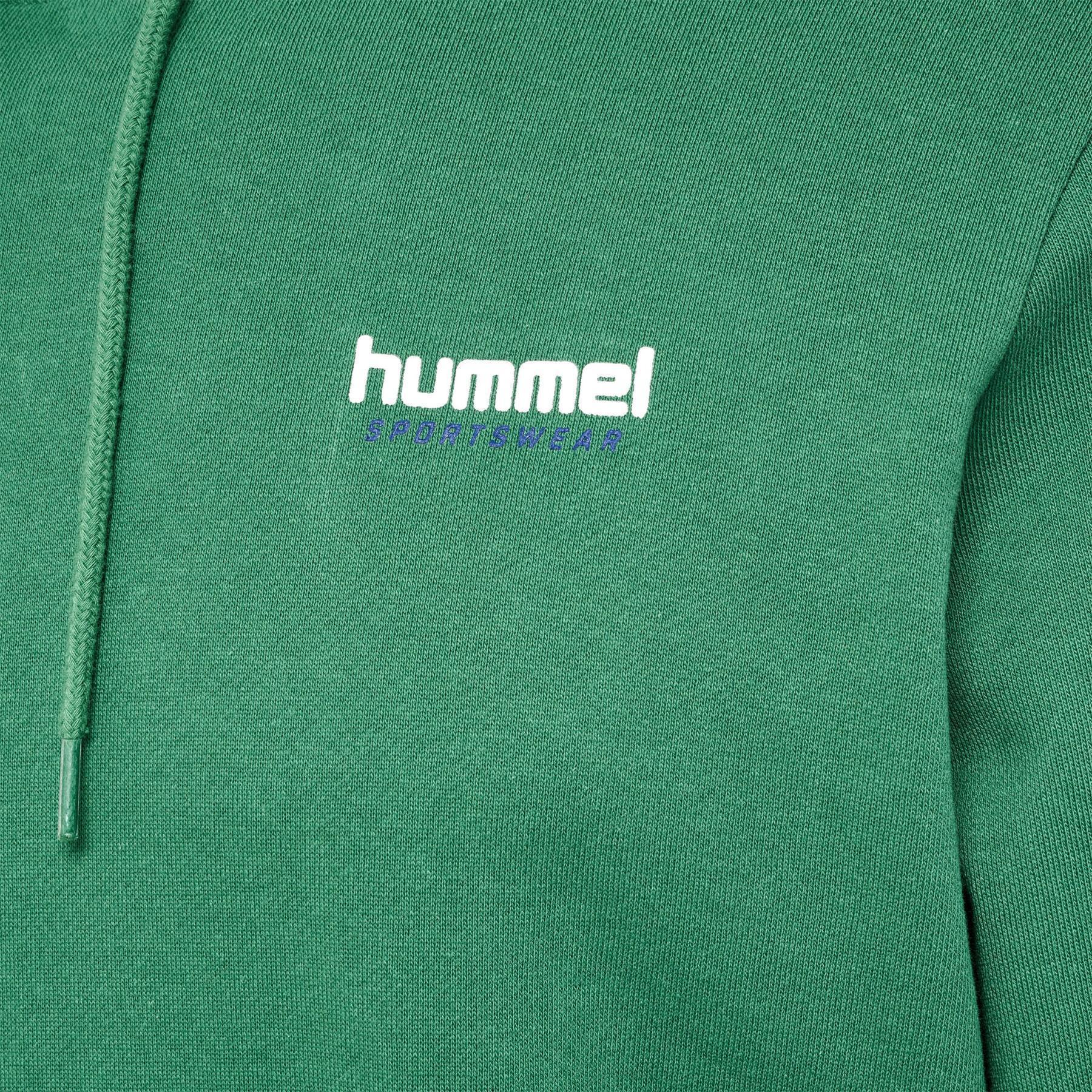 Hooded sweatshirt Hummel lgc Gabe
