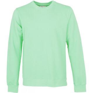 Sweatshirt ronde hals Colorful Standard Classic Organic faded mint
