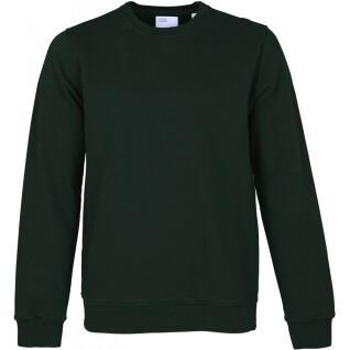 Sweatshirt ronde hals Colorful Standard Classic Organic hunter green