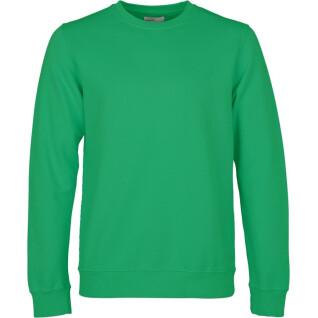Sweatshirt ronde hals Colorful Standard Classic Organic kelly green