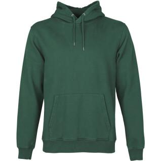 Hooded sweatshirt Colorful Standard Classic Organic emerald green