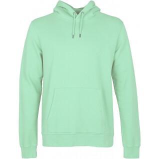 Hooded sweatshirt Colorful Standard Classic Organic faded mint
