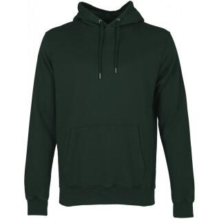 Hooded sweatshirt Colorful Standard Classic Organic hunter green
