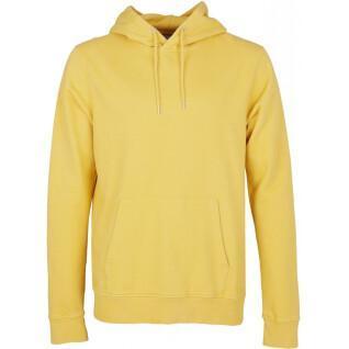 Hooded sweatshirt Colorful Standard Classic Organic lemon yellow