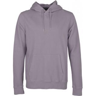 Hooded sweatshirt Colorful Standard Classic Organic purple haze