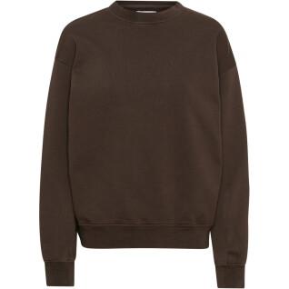 Sweatshirt ronde hals Colorful Standard Organic oversized coffee brown