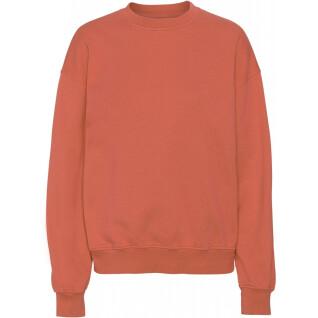 Sweatshirt ronde hals Colorful Standard Organic oversized dark amber
