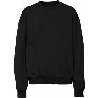 Sweatshirt ronde hals Colorful Standard Organic oversized deep black
