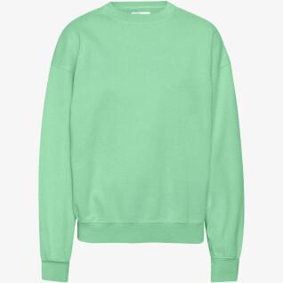 Sweatshirt ronde hals Colorful Standard Organic oversized faded mint