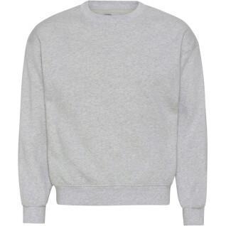 Sweatshirt ronde hals Colorful Standard Organic oversized heather grey