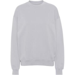 Sweatshirt ronde hals Colorful Standard Organic oversized limestone grey