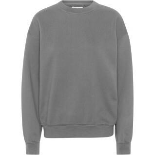 Sweatshirt ronde hals Colorful Standard Organic oversized storm grey