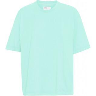 Dames-T-shirt Colorful Standard Organic oversized light aqua