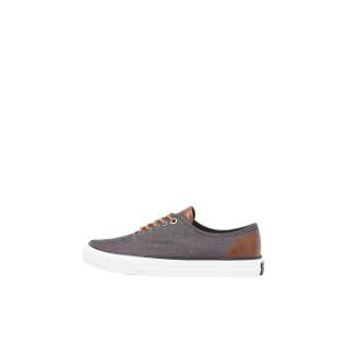 Trainers Jack & Jones Curtis Casual Canvas