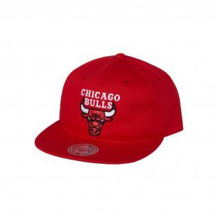 Pet Chicago Bulls team logo deadstock throwback