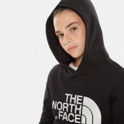 Kinder hoodie The North Face Drew Peak