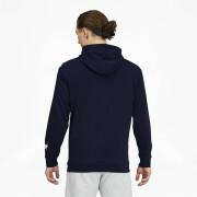 Hooded sweatshirt Puma Rad/Cal
