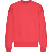 Oversized sweatshirt met ronde hals Colorful Standard Organic Red Tangerine