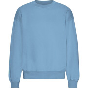 Oversized sweatshirt met ronde hals Colorful Standard Organic Seaside Blue