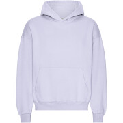 Oversized sweatshirt met capuchon Colorful Standard Organic Soft Lavender