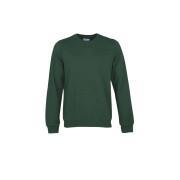 Sweatshirt ronde hals Colorful Standard Classic Organic emerald green