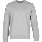 Sweatshirt ronde hals Colorful Standard Classic Organic heather grey