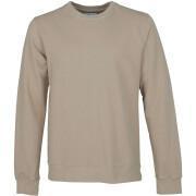 Sweatshirt ronde hals Colorful Standard Classic Organic oyster grey