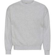 Sweatshirt ronde hals Colorful Standard Organic oversized heather grey