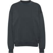 Sweatshirt ronde hals Colorful Standard Organic oversized lava grey