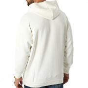 Hooded sweatshirt Fila Catanzaro
