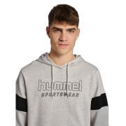 Hooded sweatshirt Hummel lgc Bryce