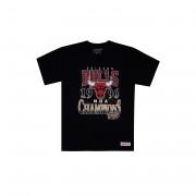 laatste dans T-shirt Chicago Bulls '96 champs